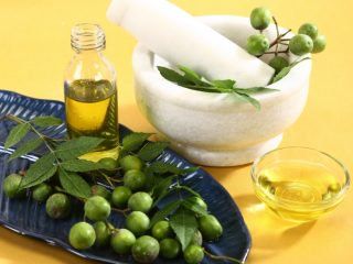 13 Impressive Benefits of Neem | Organic Facts Benefits Of Neem Oil, Neem Oil For Hair, Benefits Of Neem, Medicinal Oils, Severe Dry Skin, Natural Face Wash, Acne Facial, Neem Oil, Oil Benefits