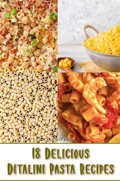 Discover 18 delicious ditalini pasta recipes that will take your pasta dishes to the next level! From hearty soups to creamy bakes, this tiny pasta adds big flavor to every meal. Get inspired with these must-try ditalini ideas! Recipes Using Ditalini Pasta, Ditalini Recipes, Ditalini Pasta Recipes, Recipes With Ditalini Pasta, Bakes Chicken, Chicken Pasta Creamy, Carbonara Spaghetti, Round Pasta, Creamy Carbonara