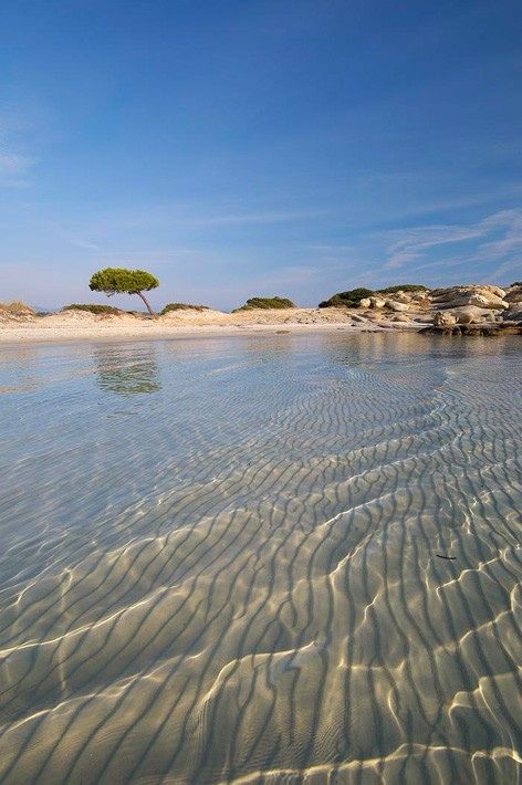 Karidi Beach, Vourvourou, Sithonia, Halkidiki, Greece Matka Natura, Greece Travel, Pretty Places, Places Around The World, Serbia, Wonderful Places, Vacation Spots, Dream Vacations, The Other Side