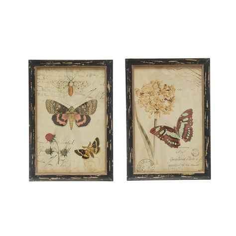 Assorted Butterfly Wall Décor by Ashland® | Michaels Framed Butterfly, Butterfly Prints, Spring Wall Decor, Wall Decor Prints, Honey Bee Decor, Decorative Brackets, Butterfly Wall Decor, Decor Prints, Butterfly Crafts