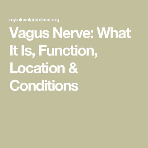 Vagus Nerve: What It Is, Function, Location & Conditions Vagus Nerve Damage, Nerve Disorders, Body Functions, Abdominal Surgery, Reflux Disease, Parasympathetic Nervous System, Autonomic Nervous System, Vagus Nerve, Nerve Damage