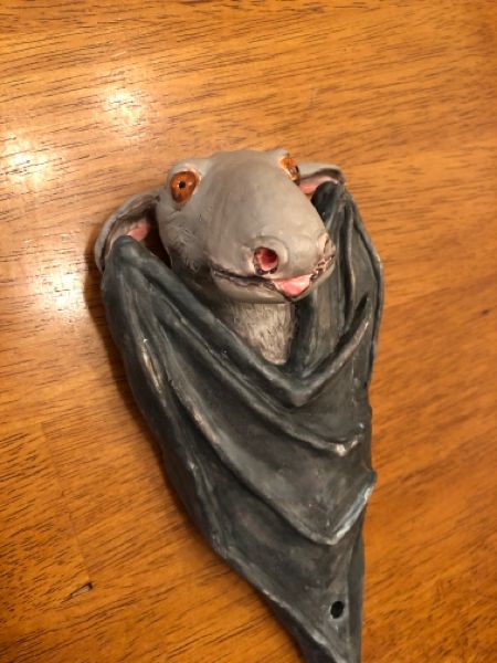 Hammerhead Bat, Flying Mammals, Goofy Animals, Scary Bat, Bat Species, Interesting Animals, Hamsters, Silly Cats, Clay Ceramics