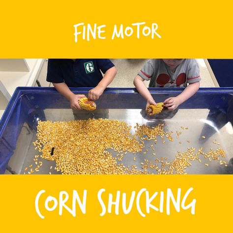 My friends LOVED shucking corn for our farm themed sensory bin today 🌽 . . . #cornshucking #finemotor #handstrenthening #tactile… Shucking Corn, Corn Husk, Sensory Bin, Outdoor Games, Sensory Bins, Fine Motor, Friends In Love, Corn