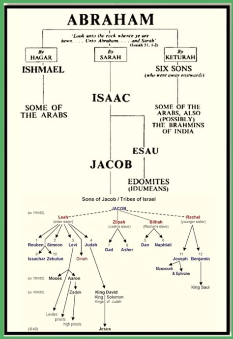 Genealogy Of Abraham, Bible Genealogy, Bible Charts, Torah Study, Learn The Bible, Bible Mapping, Biblical Hebrew, Bible Study Topics, Bible Study Help