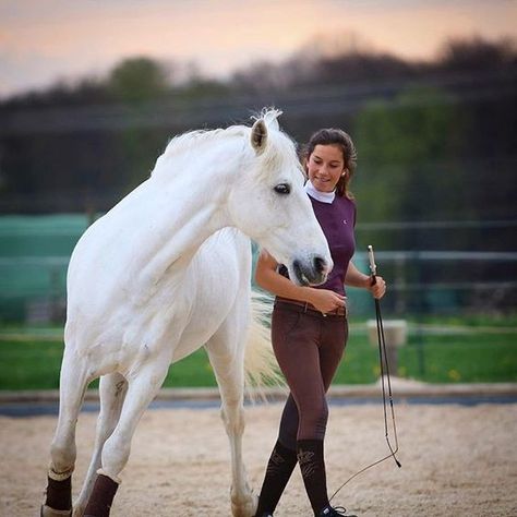 Horse Star, Show Jumping Horses, Being Grateful, Equestrian Aesthetic, Equestrian Problems, Natural Horsemanship, Horse Dressage, Lovely Photo, Horse And Rider