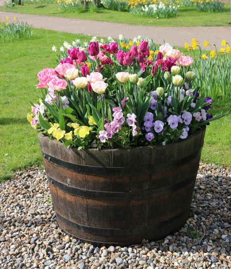 Garden Front Of House, Porch Flowers, Distant Memory, River Rocks, Garden Containers, Front Yard Garden, Container Flowers, Container Gardens, Container Garden