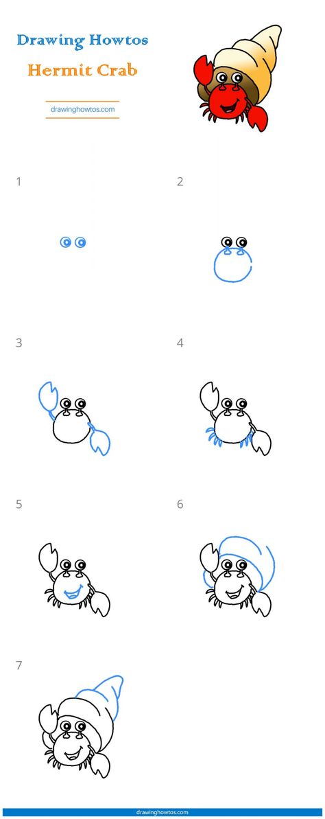 How To Draw A Hermit Crab, Hermit Crab Doodle, Hermit Crab Drawing Simple, Hermit Crab Drawing, Easy Drawing Guides, Ocean Drawing, Beach Drawing, Drawing Guides, Hermit Crabs