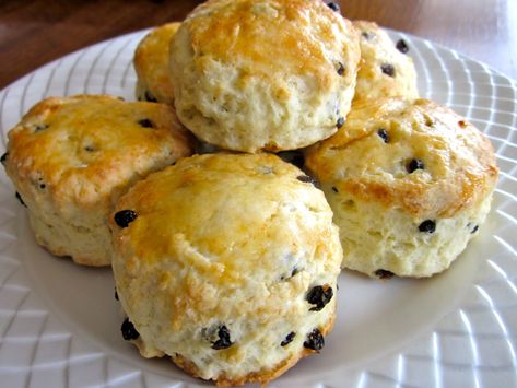 Scone Recipe With Sour Cream, Recipe Using Sour Cream, Recipes Using Sour Cream, Fruit Scones Recipe, Recipe With Sour Cream, Sour Cream Scones, Currant Scones, Cream Scones Recipe, Blueberry Scones Recipe