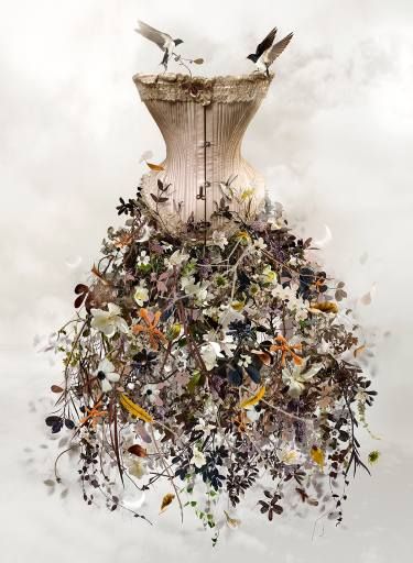 Fantasy Photography, Art Dress, Arte Floral, Natural Forms, Pics Art, Surreal Art, Botany, Digital Photography, A Dress