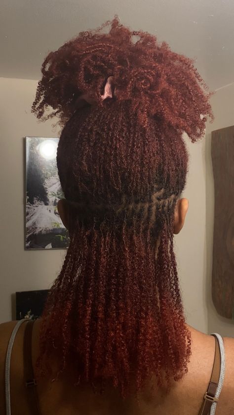 Microlocs With Braids, Microlocs Long Hair, Faux Sister Locs, Twist Locs, Red Locs, Micro Locs, Afro Twist, Natural Hair Bun Styles, Sister Locs