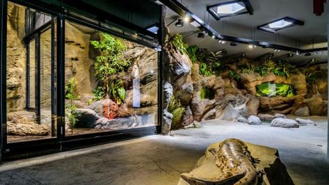 Reptile Exhibit, Zoo Enclosures, Prague Zoo, Reptile Shop, Reptile Zoo, Zoo Design, Public Aquarium, Enclosure Ideas, Zoo Architecture