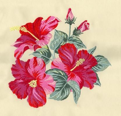 Set with embroidery designs of Hibiscus Hibiscus Embroidery, Embroidery Hibiscus, Hibiscus Flower Embroidery, Hibiscus Embroidery Pattern, Tropical Flowers Embroidery, Hibiscus Flower Embroidery Pattern, Embroidered Hibiscus Flower, Embroidered Tropical Flowers, Embroidery Design Sets