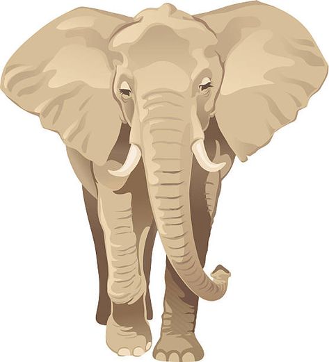 Elephant Front View, African Elephant Illustration, Play Nook, Elephant Vector, Elephant Clip Art, Needle Felt Animals, Elephant Park, Elephant Illustration, Elephant Drawing