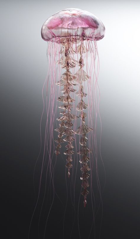 Jellyfish Facts, Jellyfish Lantern, Jellyfish Jewelry, Jellyfish Illustration, Jellyfish Photography, Jellyfish Tank, Jellyfish Decorations, Creature 3d, Jellyfish Aquarium