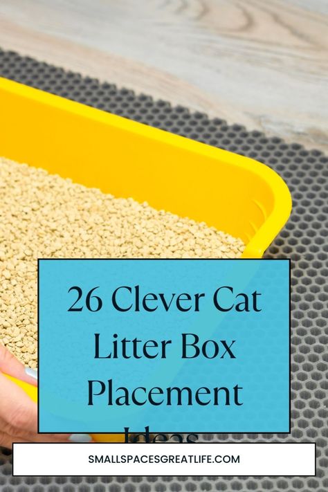 Keep your apartment and your cat happy with these essential pet-approved strategies tailored for apartment living. Pet Litter Box Ideas, Small Space Litter Box Ideas, Litter Box Small Apartment, Small Apartment Litter Box Ideas, Cat Apartment Ideas Small Spaces, Apartment Cat Ideas, Litter Box Ideas, Apartment Therapy Small Spaces, Cat Apartment