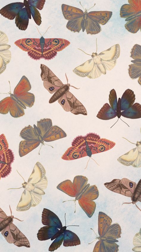 phone background / wallpaper - Boho pastel moths with rich tones Alex Albon Wallpaper, Aesthetic Butterfly Wallpaper, Moth Wallpaper, Alex Albon, Phone Background Wallpaper, Aesthetic Butterfly, F1 Wallpaper, Mood Wallpaper, Poster Ideas