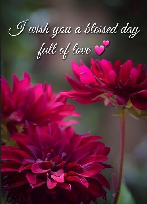 Blessed Day Full Of Love Pictures, Photos, and Images for Facebook, Tumblr, Pinterest, and Twitter Wishing You A Blessed Day, Wishing You A Beautiful Day Quotes, Blessed Day Wishes, Blessed Day Good Morning, Tuesday Wishes, Morning Babe, Stall Decorations, Good Morning Clips, Good Morning Inspiration