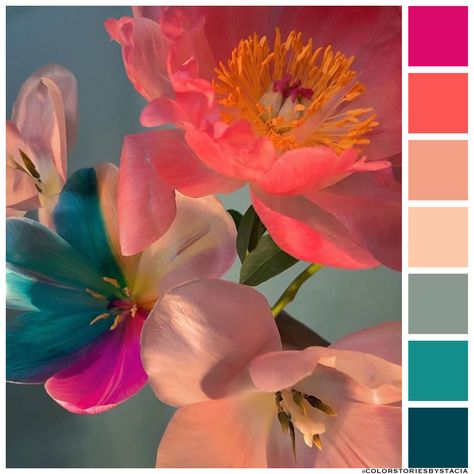 Pink Complementary Colors, Complementary Colors Photography, Floral Mood Board, Company Aesthetic, Peach Color Palette, Complementary Color Palette, Colour Harmony, Peach Color Palettes, Colour Studies