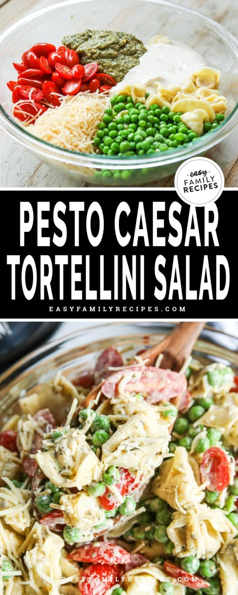 FAVORITE salad recipe EVER! This Pesto Tortellini Pasta Salad is SO GOOD and only takes 6 ingredients and just minutes to make. This easy salad recipe is perfect for lunch, and makes a great side dish to serve with dinner. Pesto and caesar mix to make the absolute best dressing that makes this the best pasta salad recipe. Lemon Pesto Tortellini, Creamy Pesto Tortellini, Pesto Tortellini Salad, Tortellini Pasta Salad, Creamy Pesto Sauce, Pesto Salad, Pesto Tortellini, Pesto Dressing, Pasta Salad With Tortellini