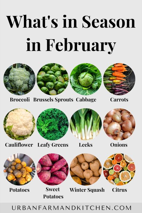 Infographic showing what produce is in season in February. Eating Seasonally, Seasonal Eating, Whats In Season, Urban Farm, Garden Food, Eat Seasonal, Seasonal Food, Winter Squash, Fruit In Season