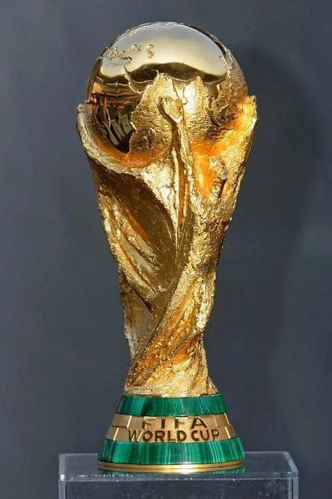 Fifa World Cup Trophy, Usa Flag Wallpaper, Messi Tattoo, Biggest Stadium, Jurassic World Indominus Rex, Soccer Awards, Fifa Qatar, Football Trophies, World Cup Trophy