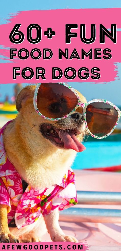 Chihuahua dog wearing colorful sunglasses and a colorful pink Hawaiian shirt. Pin Title says 60+ Fun Food Names for Dogs. Food Pet Names, Puppy Litter Theme Names, Food Names For Pets, Food Dog Names, Food Names For Dogs, Funny Names For Dogs, Girl Puppy Names Unique, Names For Pets, Best Female Dog Names