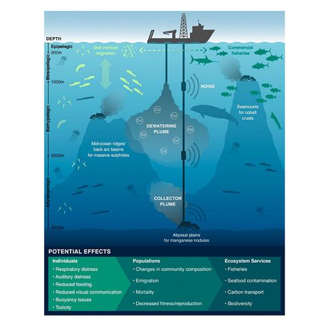 Nutrient Cycle, Natural Resource Management, Ocean Ecosystem, Carbon Sequestration, Ocean Depth, Marine Ecosystem, Food Web, Marine Environment, Deep Water