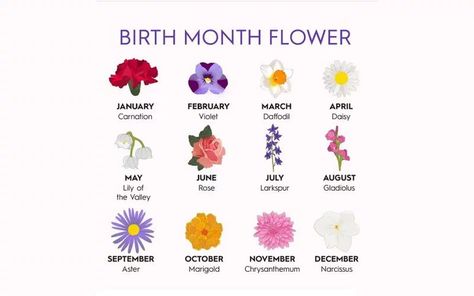 Find Out Your Birth Flowers By Korean Flower Chart! June Flower, July Birth Flower, Better Homes And Gardens Magazine, June Birth Flower, Flower Chart, September Flowers, April Birth Flower, Daisy May, April Flowers