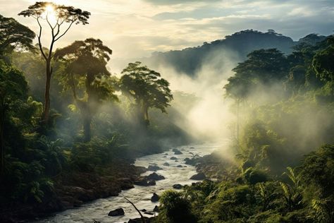 Rainforest landscape tree rainforest outdoors. AI generated Image by rawpixel. | free image by rawpixel.com Rainforest City, Rainforest Landscape, Rainforest Trees, Amazon Forest, Rain Forest, Amazon Rainforest, Jungle Theme, Green Forest, Landscape Trees