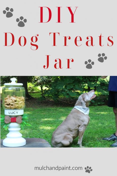 Cute Dog Treats, Dog Treat Storage, Crayola Air Dry Clay, Dog Treat Container, Treat Containers, Training Business, Dog Tree, Pet Treat, Super Cute Dogs