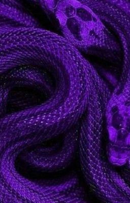 Snake Aesthetic, Purple Grunge, Velvet Purple, Purple Snake, Violet Aesthetic, Purple Wall, Dark Purple Aesthetic, Pink Snake, Purple Walls