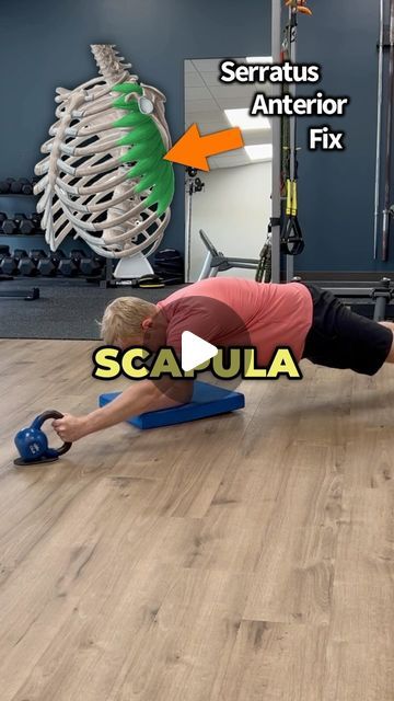 Dr. Adam McCluskey PT, DPT on Instagram: "💥Don’t Neglect this Critical Shoulder Muscle!💥 (Full Shoulder Program on sale in @theptinitiative bio link!...)
.
.
🔑The serratus anterior is an important muscle that sits underneath your shoulder blade and wraps around the side to your ribs. It plays a significant role in keeping your scapula moving optimally when reaching overhead.
—-
🔎Sometimes when we don’t have optimal stability of the shoulder blade, the scapula can “wing out” leading to the popular term – scapular winging.
—
🤓Don’t view winging scapula as a diagnosis but instead a description of movement quality. Whenever I see a scapula winging out with clients of mine, I use it as a guide to investigate further if their shoulder stabilizers need a bit of strengthening.
—
🎯These exerc Serratus Anterior Muscle, Scapular Winging, Serratus Anterior, Shoulder Muscle, Muscle Stretches, Shoulder Muscles, Shoulder Pain, Crossfit, Gym