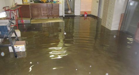 Flood/Water Damage Restoration: Why you need Professional Expertise - http://bit.ly/2n9Z5gQ Pinterest Home Decor Ideas, Flooded House, Wood Furniture Plans, Water Rings, Flood Damage, Cup Of Water, Wooden Floors, Popular Woodworking, Furniture Repair