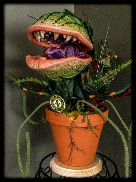 The Shop Of Horrors ✝ Audrey II Man Eating Plant, Audrey 2, Audrey Ii, Cheap Diy Halloween Decorations, Zombie Walk, Horror Decor, Little Shop Of Horrors, Carnivorous Plants, Halloween Props