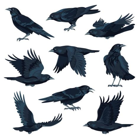 Raven Flying, Crow Flying, Crow Silhouette, Animal Vector, The Crow, Crop Image, Channel Art, Schedule Design, Real Estate Flyers