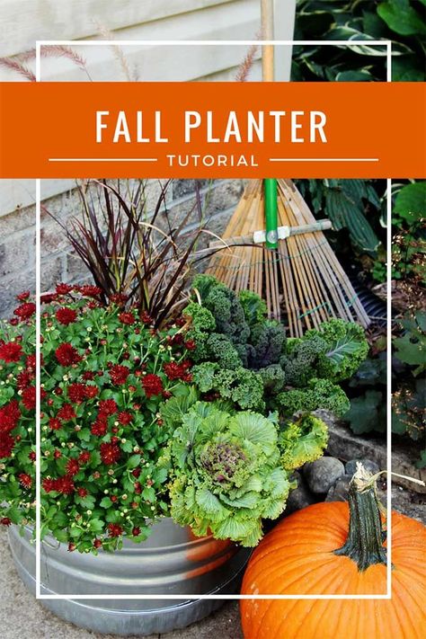 Quick and easy instructions for how to make fall outdoor planters for your porch or garden. Along with tips for the 10 best fall flowers for pots. Fall Potted Plants, Flowers For Pots, Shade Plants Container, Full Sun Container Plants, Fall Container Plants, Fall Pots, Fall Container Gardens, Fall Containers, Fall Planters