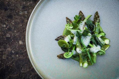 Wye Valley asparagus with hogweed, maritime pine, hedgerow clippings and mead Asparagus Fine Dining, Wye Valley, Mead Recipe, Pea Shoots, Party Bites, Asparagus Recipes, Great British Chefs, Summer Menu, Asparagus Recipe