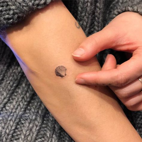 Shell Tattoo, Think Tattoo, Seashell Tattoos, Shell Tattoos, Tattoos For Girls, Small Girl Tattoos, Diy Tattoo, Temporary Tattoo Designs, Dainty Tattoos