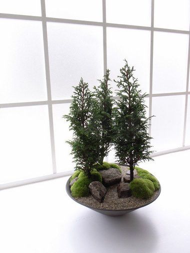 #Japanese #bonsais #trees Bonsai Forest, Portland Japanese Garden, Mini Bonsai, Moss Garden, Bonsai Art, Garden Terrarium, Japanese Gardens, Miniature Trees, Bonsai Plants