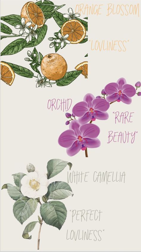 Orange Blossom, Orchids, and White Camellia mean Beauty White Camellia, Flower Meanings, Orchid Flower, Orange Blossom, Orchids, Blossom, Meant To Be, Orange, Flowers