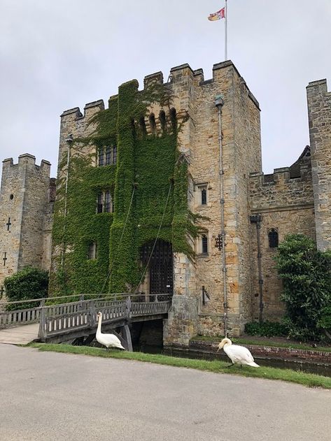 Gormenghast Castle, Old Scottish Castle, Kent England, Huntington Castle Ireland, Kent Wedding, Castle Aesthetic, Tudor Era, Castles In England, Cawdor Castle Scotland