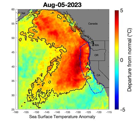 ‘Severe’ marine heat wave begins arriving in Northern California Sea Surface, Sea Floor, Monterey Bay Aquarium, Monterey Bay, Marine Mammals, California Coast, Science Center, Sea Birds, Northern California