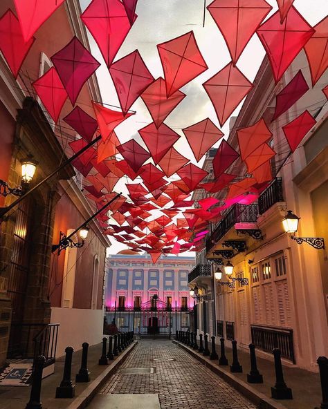 Discover Puerto Rico on Instagram: “Kites flying high over Calle Fortaleza in Old San Juan show our island's support for strong women! 💪🏼❤️Thank you @travelwithusdjg for…” Festival Decoration Ideas, Kite Decoration, Urban Art Installation, Lobby Ceiling, Kites Flying, Black Baby Art, Kids Backyard Playground, Office Mural, Interior Design Pictures