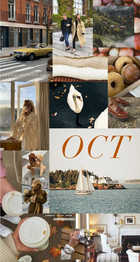 October Mood Board Wallpaper, October Phone Wallpaper Aesthetic, September Mood Board Wallpaper, September Background Aesthetic, October Mood Board Aesthetic, September Aesthetic Wallpaper Iphone, October Vision Board Aesthetic, October Collage Wallpaper, September Aesthetic Wallpaper