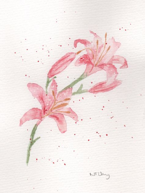 Pink Lilies Tattoo, Lilies Painting Easy, Pink Lily Tattoo, Stargazer Lily Watercolor, Watercolour Lilies, Watercolour Flower Tattoo, Watercolor Lillies, Light Pink Poster, Watercolour Lily