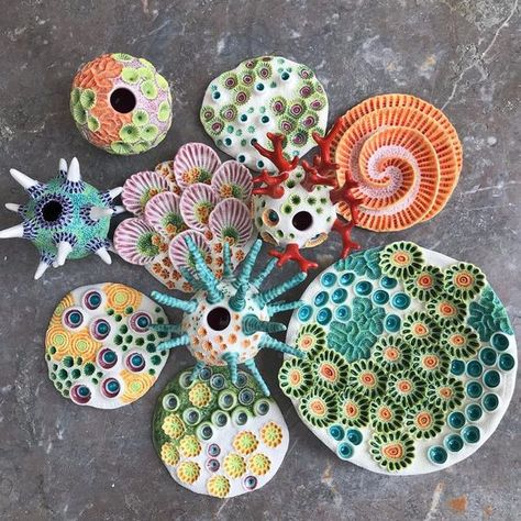 Lisa Seaurchin’s Instagram post: “So, I’d better start listing pieces on Etsy again! These pieces will be coming up over the next couple of weeks, I’m going to aim to list…” Lisa Seaurchin, Vintage Birthday Cakes, Organic Sculpture, Underwater Theme, Coral Art, Ceramic Texture, Lots Of People, Concrete Art, Sketchbook Art Journal