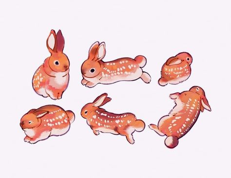 Rabbit Reference, Bunny Hybrid, Hybrid Oc, Golden Rabbit, Whimsy Art, Bunny Drawing, Cute Fantasy Creatures, Kawaii Plush, Cute Doodles Drawings