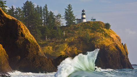 Long Beach Washington, Lewis And Clark Trail, Beach Souvenirs, Katy Trail, Stay Busy, Long Trail, Hiking Guide, Walking Routes, Beach Boardwalk