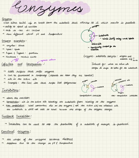 App: goodnotes Enzymes Biology Notes, Class 11 Biology Short Notes, Class 12 Biology Short Notes, Enzymes Biology, Class 9 Biology Notes Chapter 1, Class 12 Biology Notes Chapter 1, Neet Notes, Class 12 Biology Notes Evolution, Biology Notes