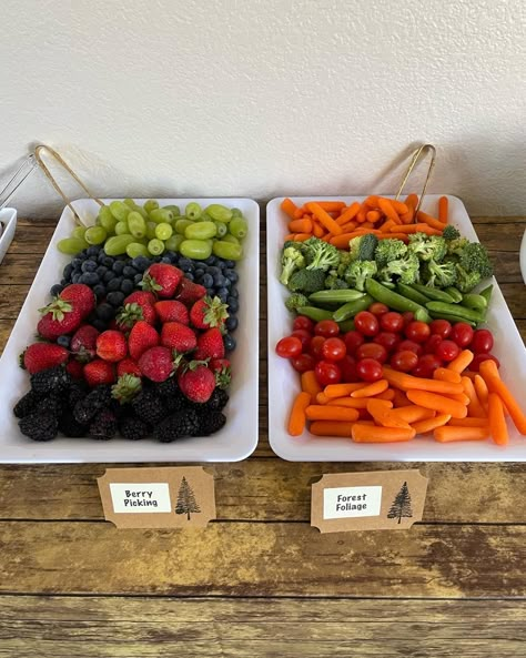 Bear Birthday Snacks, Bearly Wait Food Ideas, Beary First Birthday Food Ideas, Bear Charcuterie Board, Bear Veggie Tray, Bear Birthday Food Ideas, We Can Bearly Wait Food Ideas, Bear Themed Snacks, Berry Themed Food